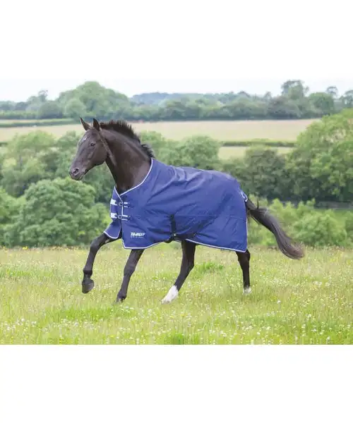 horse wholesale High quality Horse Rug Equine Equip Equestrian Products Hors Rugs Hors Fleece Rugs manufacturer