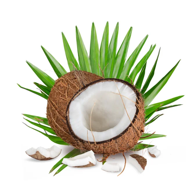 Готов к отправке кокосовый натуральный порошок сушеные фрукты кокосовое волокно