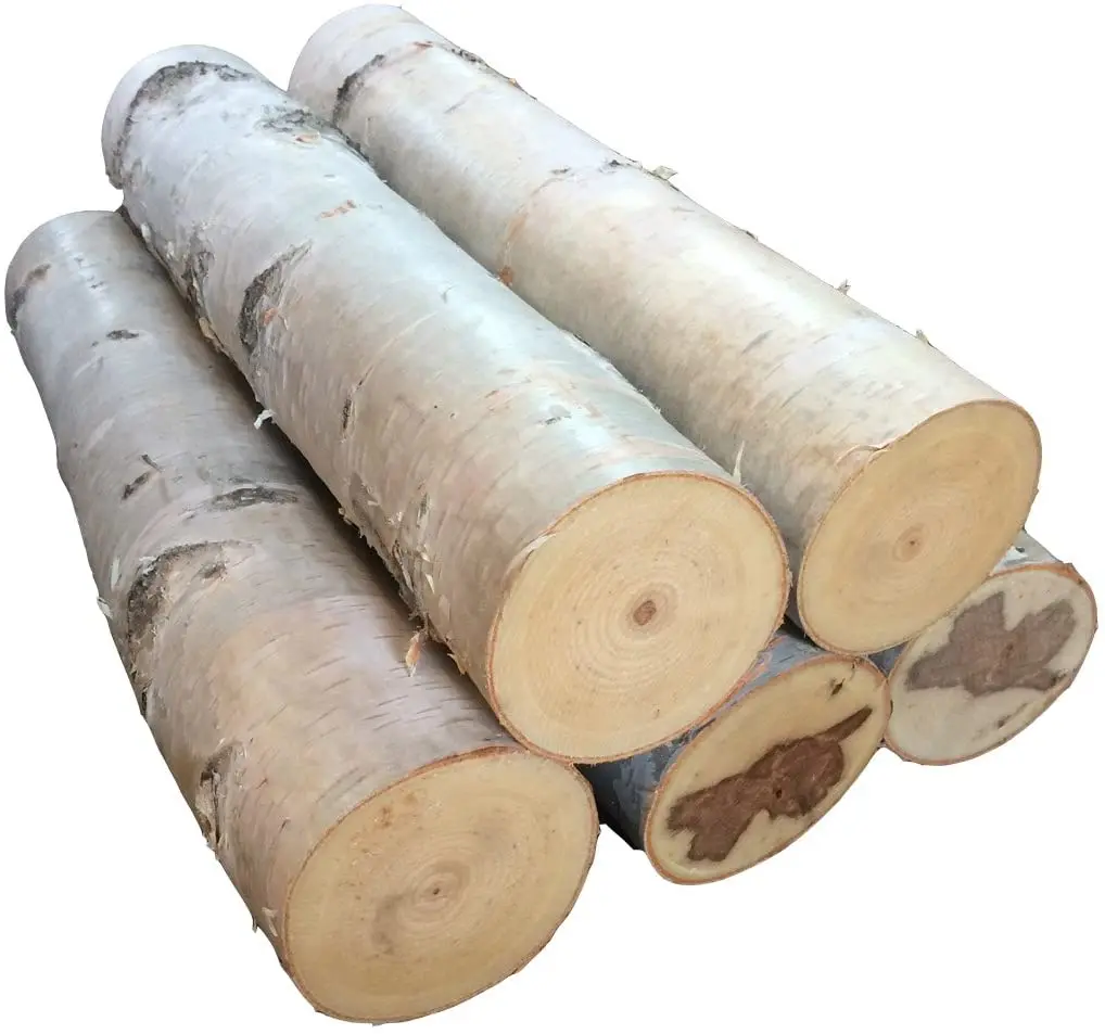 
Birch Logs for sale 