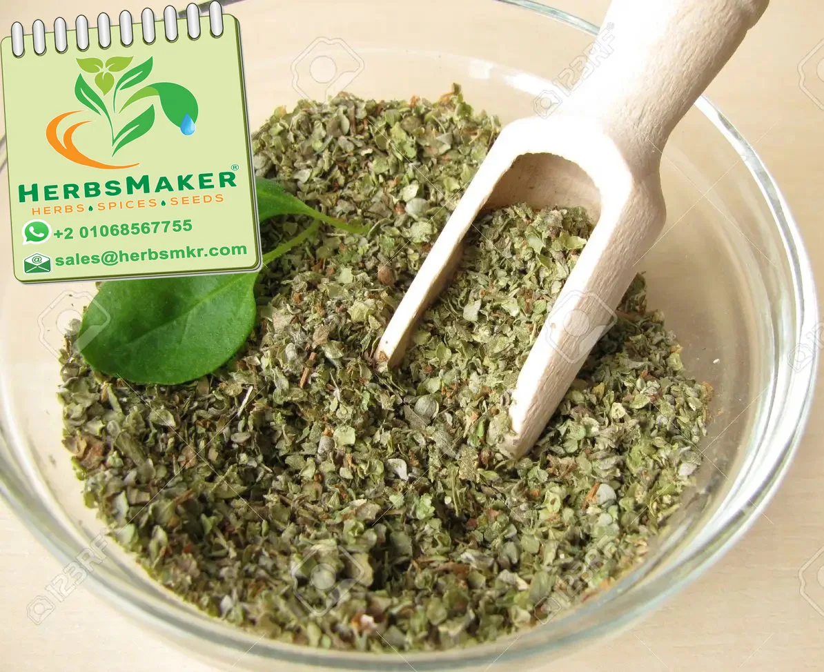 (MARJORAM) NEW CROP HIGH QUALITY EGYPTIAN SORTEX CONVENTIONAL AND ORGANIC VERY COMPETITIVE PRICE