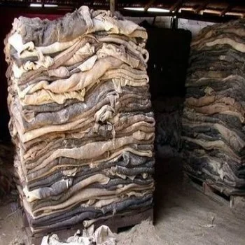 
Wholesale Wet Salted and Dried Donkey Hides/Goat Skin / Salted Cow Hides 