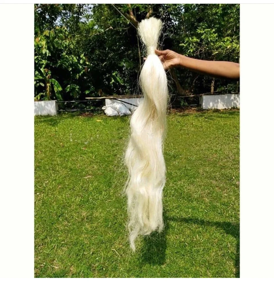 
UG Grade Sisal Fiber for Building Material 100kgs/bale 