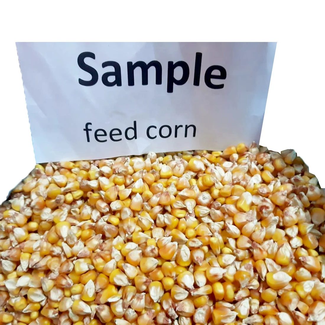 Оптовая продажа без ГМО, сушеный корм для кукурузы