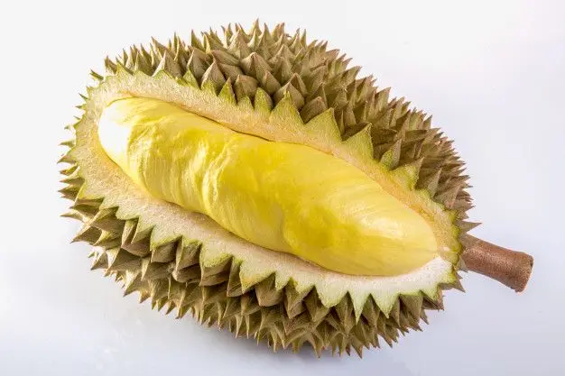 The Best Fresh Durian Monthong Golden Pillow From Thailand Durian Meat Per Pack