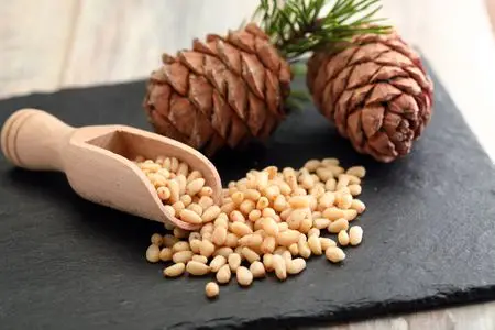 pine nuts for sale