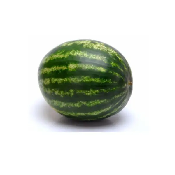 Органическая свежая дыня Высококачественная для пресной воды