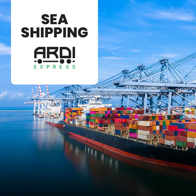 China To USA Door To Door Service Sea Freight By USA Shipping Agent