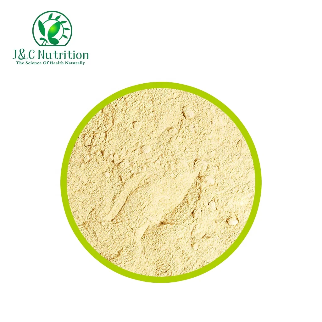 100% Natural Bulk Supplements 100% Sunflower Lecithin Powder, CAS 8002-43-5