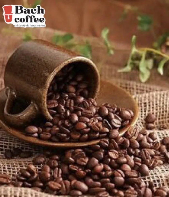 Original Catuai Coffee Beans / Variety  Arabica  Premium /  /Fresh Medium Roast / Fair Direct trade / OEM / Lowest shipping cost