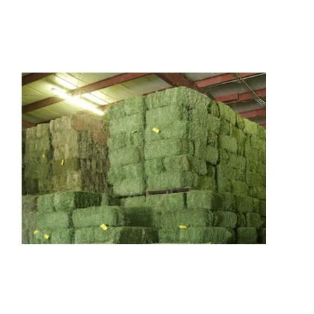 Alfalfa Hay / Timothy Alfafa Hay / Rhode Hay