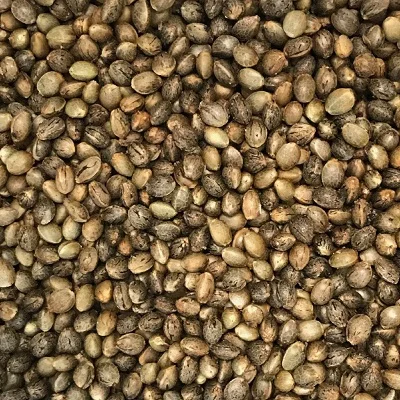 ORGANIC Shelled Hulled Seeds hemp seed