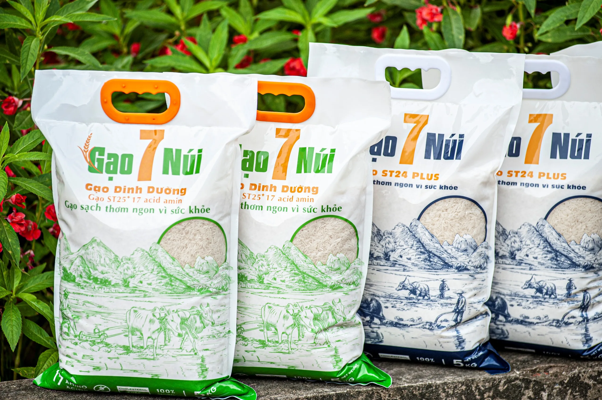 Максимальная Мягкая Белая сушеная зерна риса St25 Plus 17 аминокислот ISO 22000 HACCP GMP Сертификация