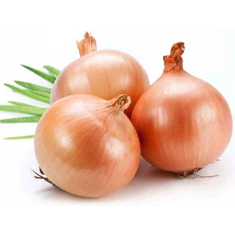 Fresh style yellow onion low price for export