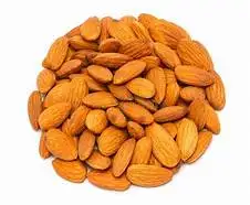 Wholesale Bitter Apricot Kernels