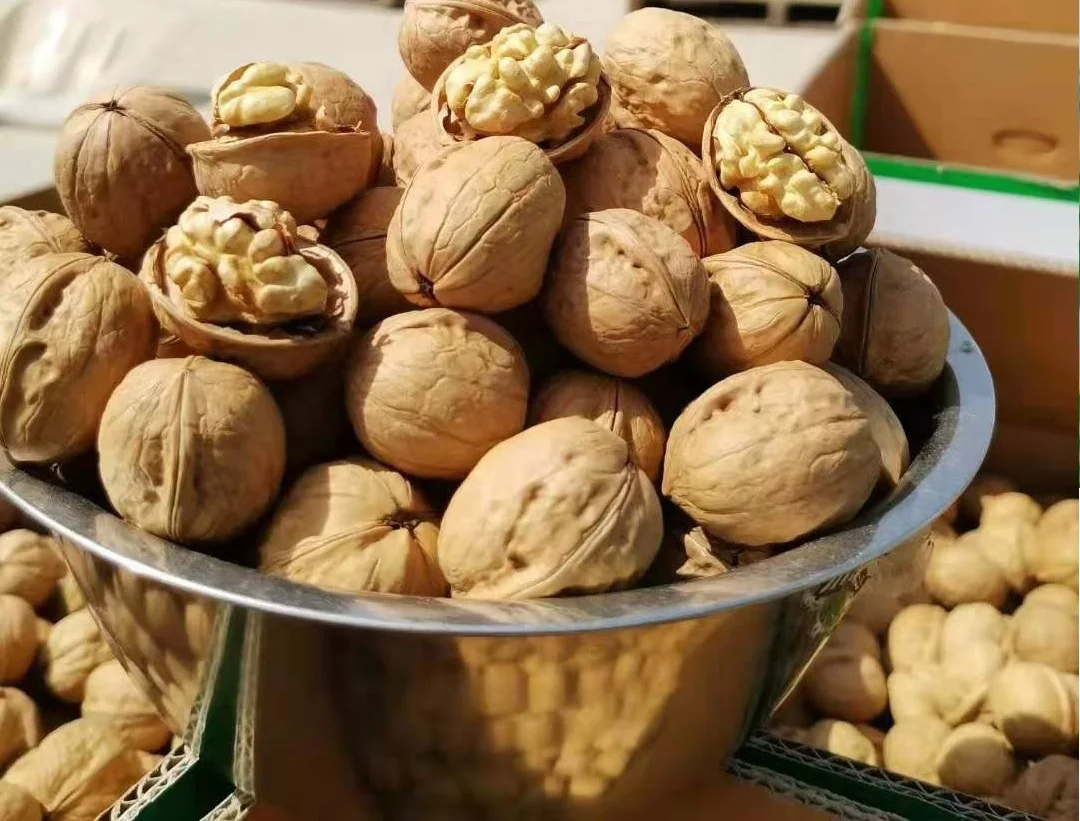 Walnut Raw Walnut Kernel Light Halves Max Bag Top Candy Style Storage Cool Packaging Organic Origin