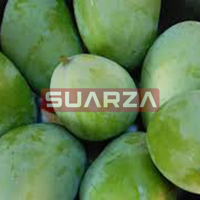 Suarza (PVT)  supplies Raw Mango, Green Mango from Pakistan/Fresh Delicious Mango exporter