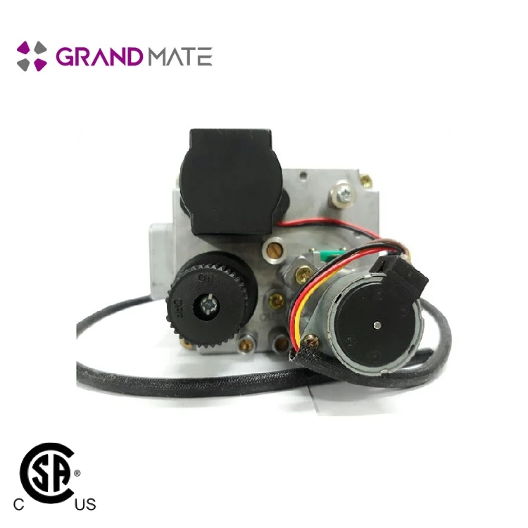  Натуральный редукционный температуры клапан регулировки газа