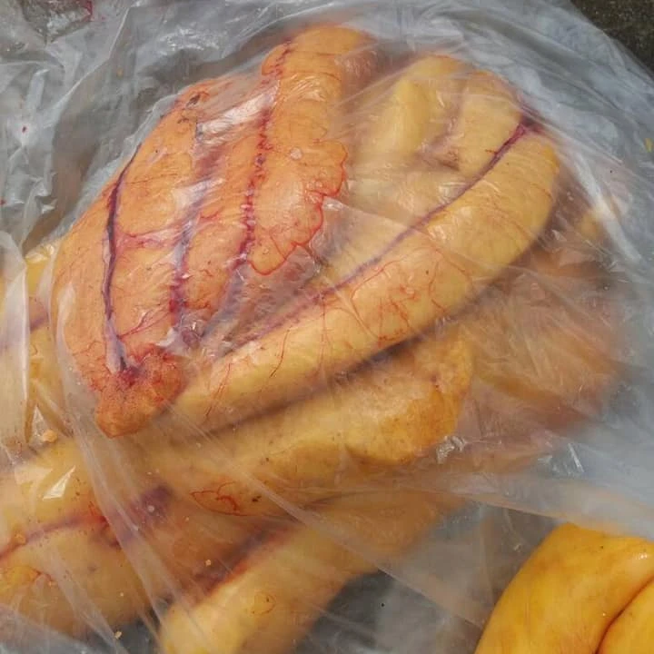 Frozen Fresh Mullet Fish Roe /eggs