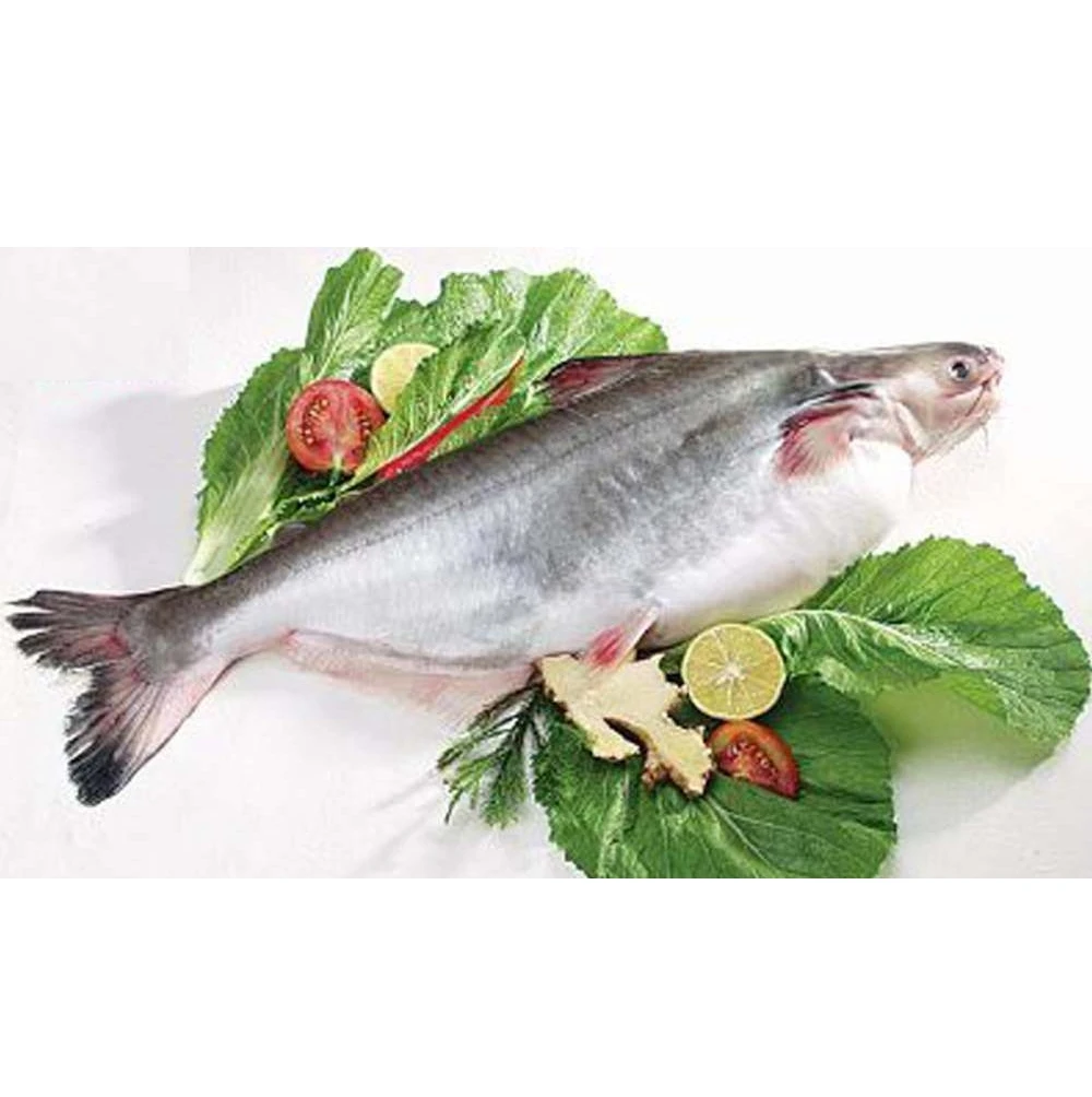 HOT SALE !!!! IQF Frozen WHOLE ROUND PANGASIUS FILLET fish seafood pangasius fillet Factory price from Viet Nam