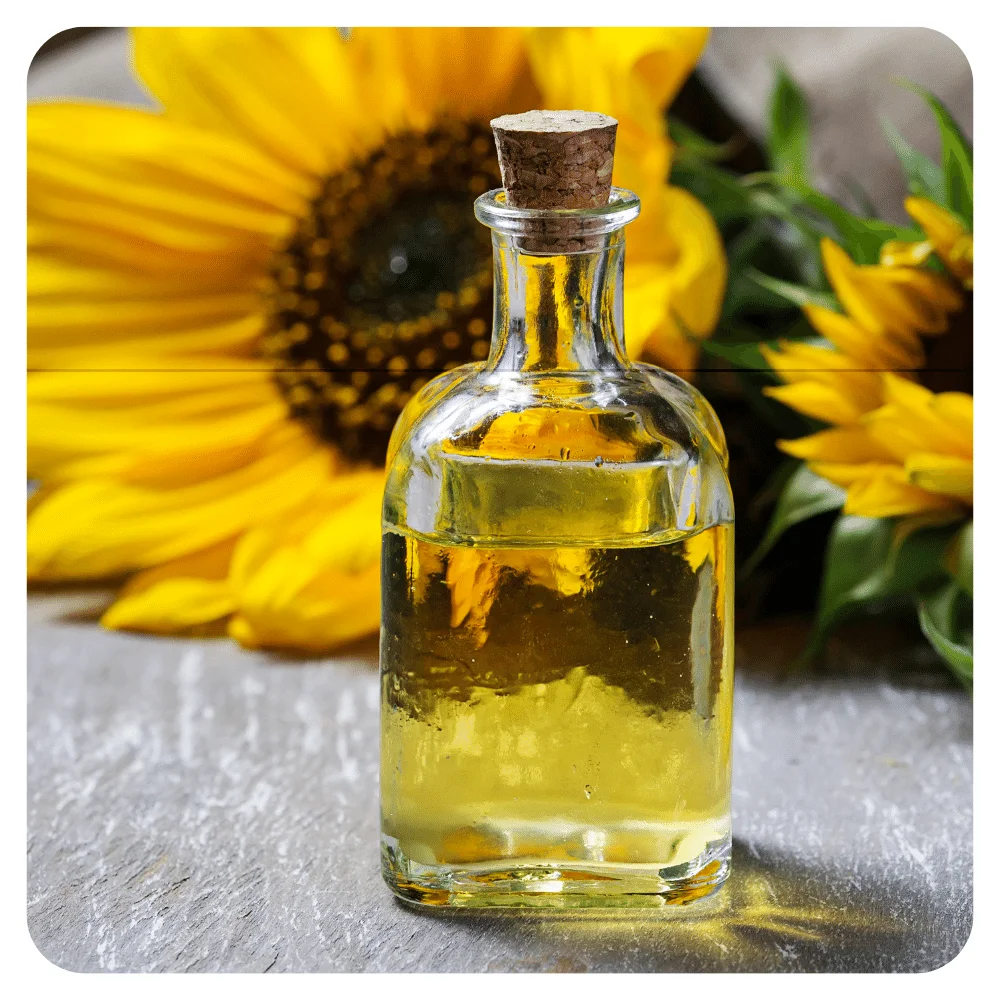 
Wholesale Prices Refined sunflower oil uses for cooking oil Gift Bottle Glass Bulk Packing 