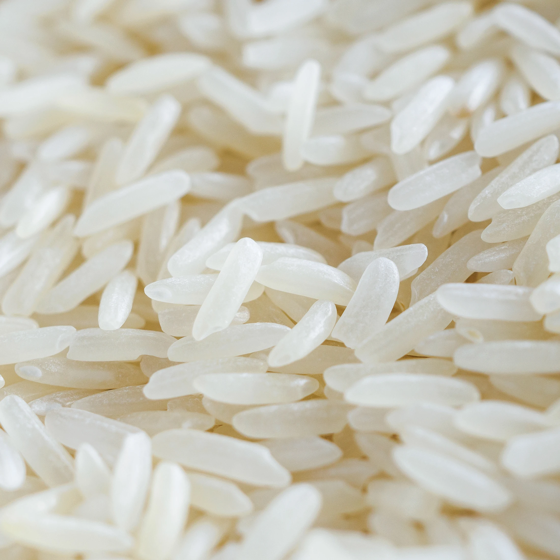 
Long Grain White Rice Jasmine Rice High Quality from Thailand 