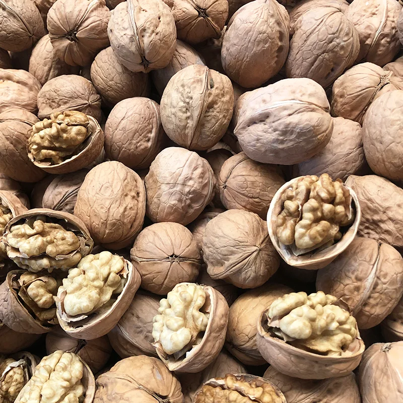 walnuts in-shell with competitive price from Turkey