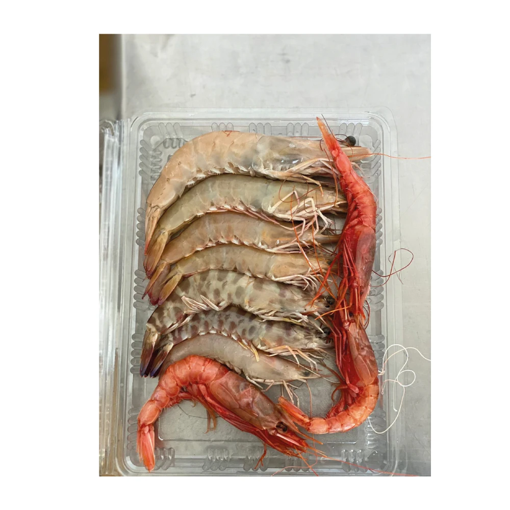 Высококачественные креветки Iskenderun оптовая продажа