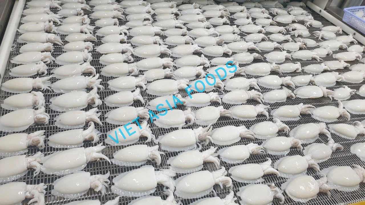 (NEW PRODUCT) Cuttlefish/Frozen Whole Cleaned Cuttlefish For Sale in VietNam