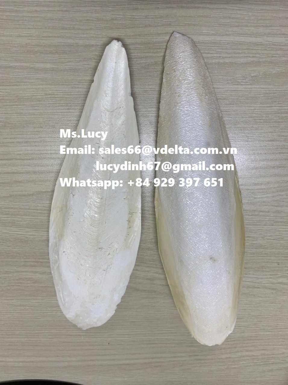  Минералы и кальций для животных/Высококачественная косточка Для морской слепки из Вьетнама мисс Люси + 84 929 397 651