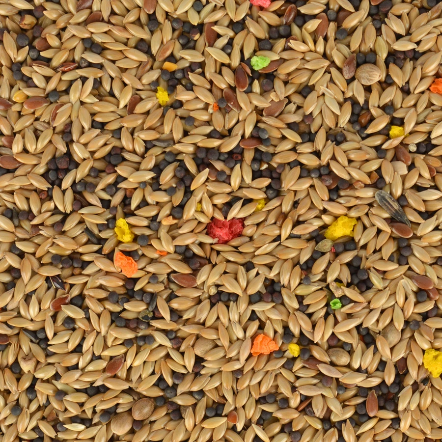 Goldwings Classic Millet Spray - 6 pcs