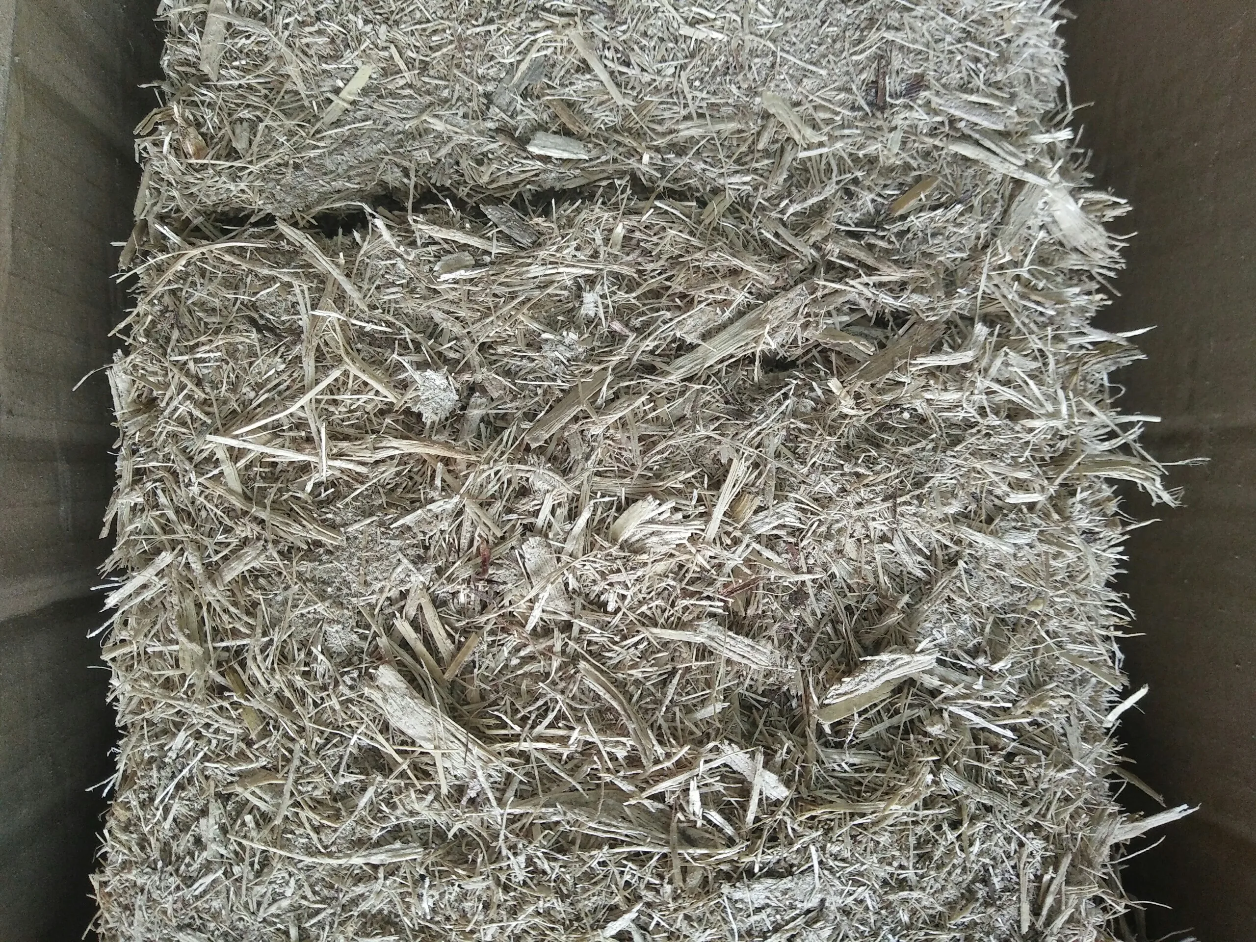 BAGASSE FIBERS/ BAGASSE/ AGRICULTURAL WASTE