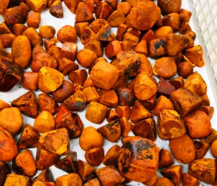 TANZANIAN Wholesale Cow Gallstone for Sale