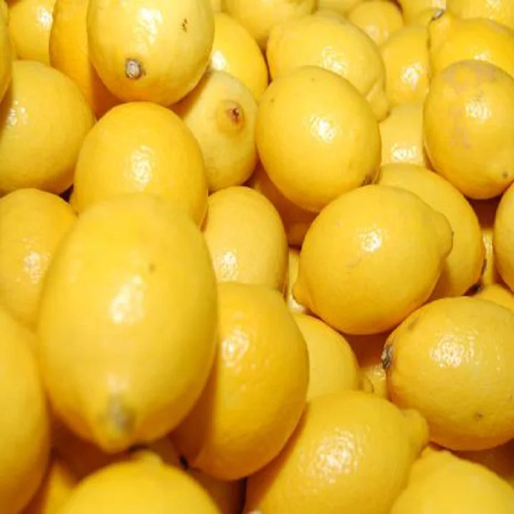Top fresh quality natural lemons