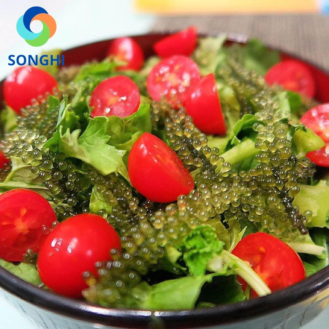 Морской виноград, зеленая Икра, водоросли, обезвоженные, высшего качества из Вьетнама, для оптовой продажи, картонная упаковка