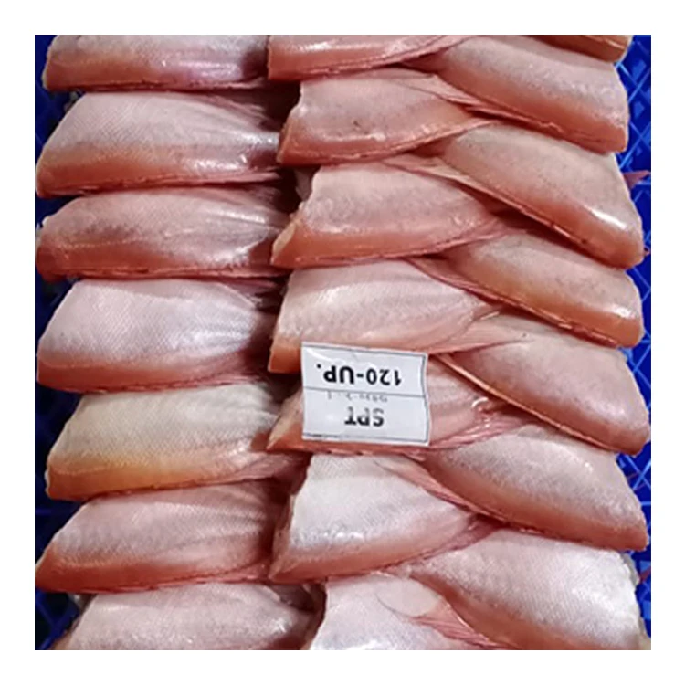 
Frozen Red Snapper Fish Sachet Nutritious Fish Body 