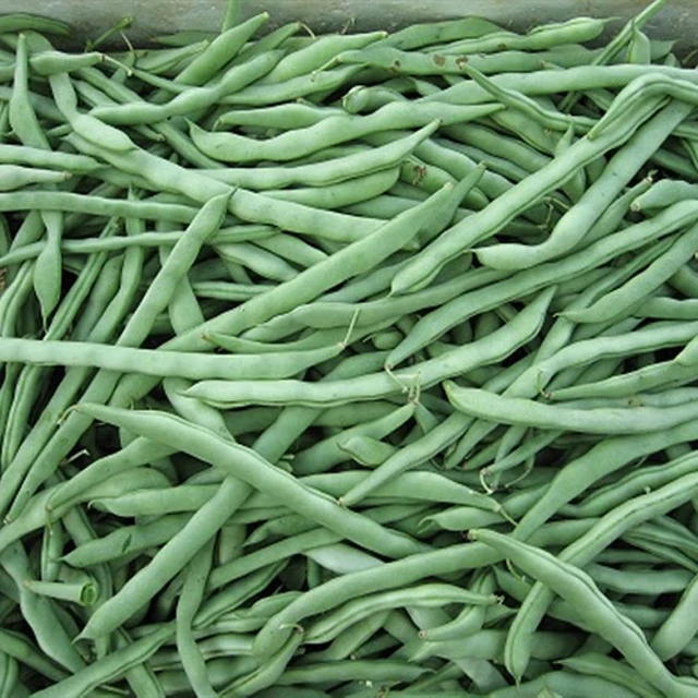 Fresh Super Delicious Taste Premium Quality Runner Bean - Whole Fruit Export