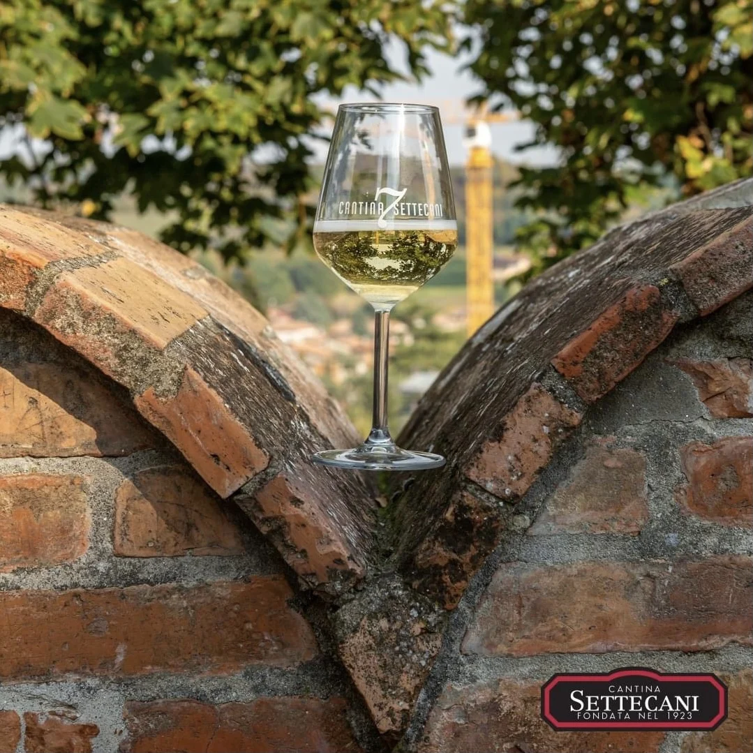 Повседневное игристое вино I Vini della tradition Pignoletto DOP Secco