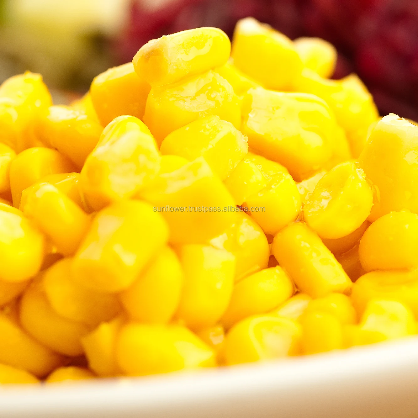 
Canned Whole Kernel Sweet Corn In Brine Premium Quality from Thailand 