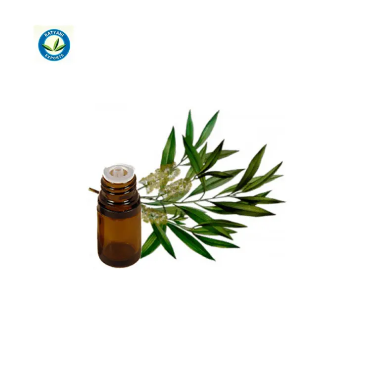 Wholesale Dealer of Most Selling Tea Tree Essential Oil for Sale