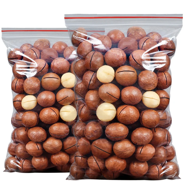 Macadamia Nuts Raw Salted Roasted Maca Nuts Healthy Food Macadamia in Shell