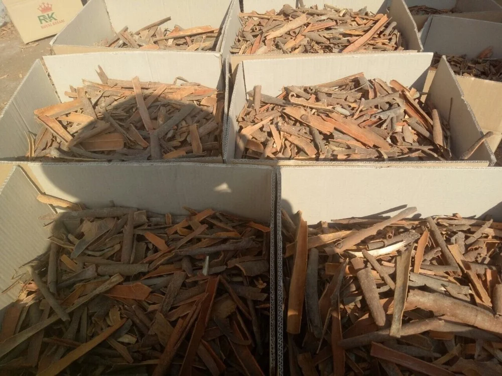 BROKEN CASSIA NEW CROP 2021 HIGH QUALITY