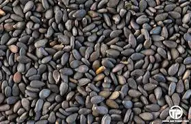 Лидер продаж, сушеный кунжут без налога в белом, желтом и черном цветах, экспортируется по всему миру, напрямую из областей