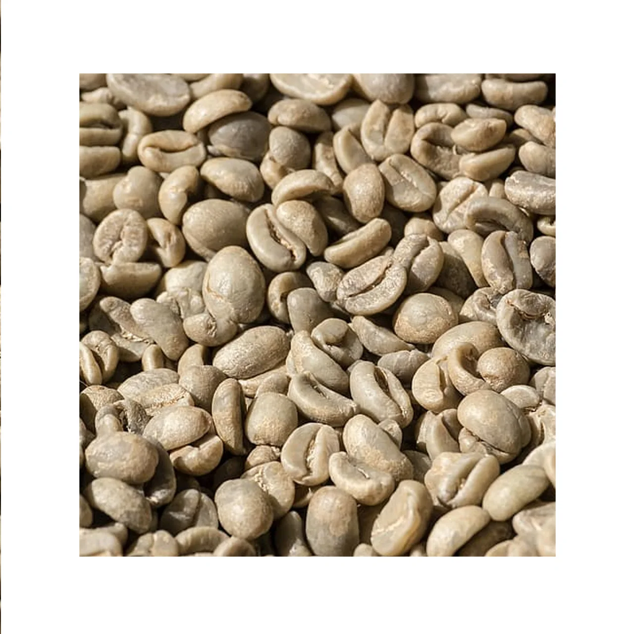 Горячая Распродажа кофейные зерна java жаренарабика зеленый энергетический напиток кофе