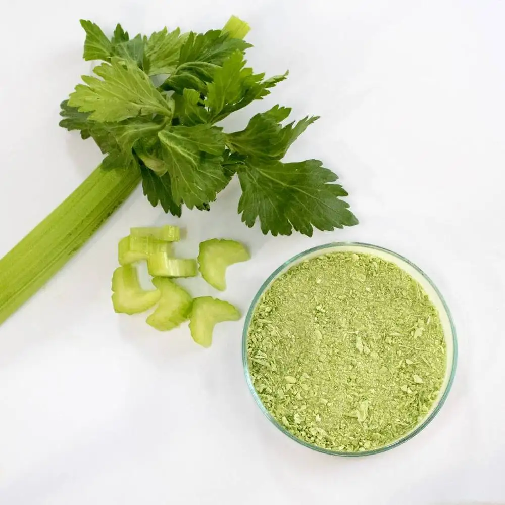 Celery Powder 60Grams Rich in Natural Fiber - Ms. Elaine +84 375 431 541