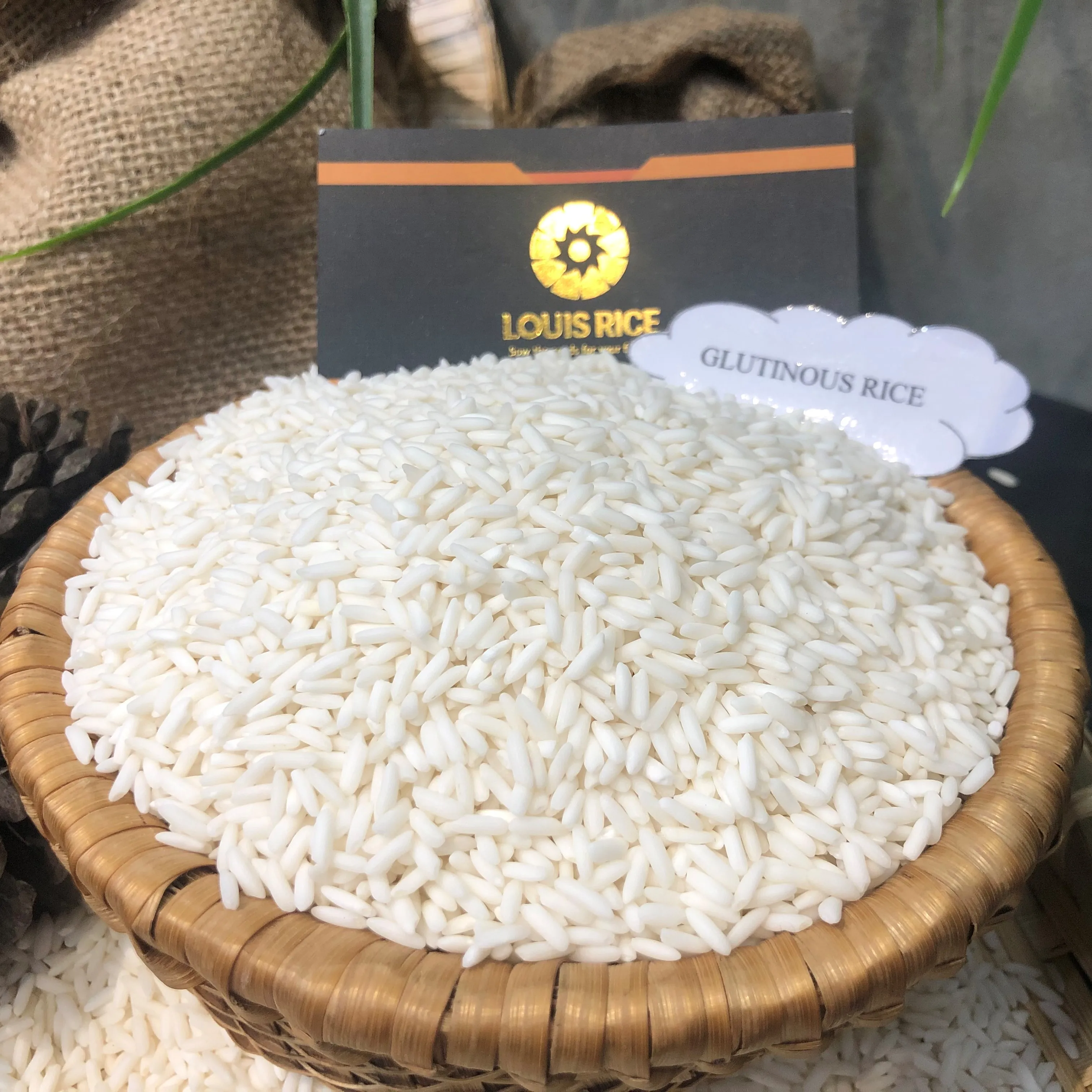 Top sellers Long An glutinous rice 10% broken