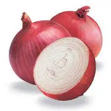 High Quality Export Fresh White Onion Price Onions Fresh