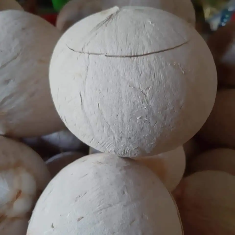  Свежий молодой кокос из Вьетнама высокое качество конкурентоспособная цена на экспорт