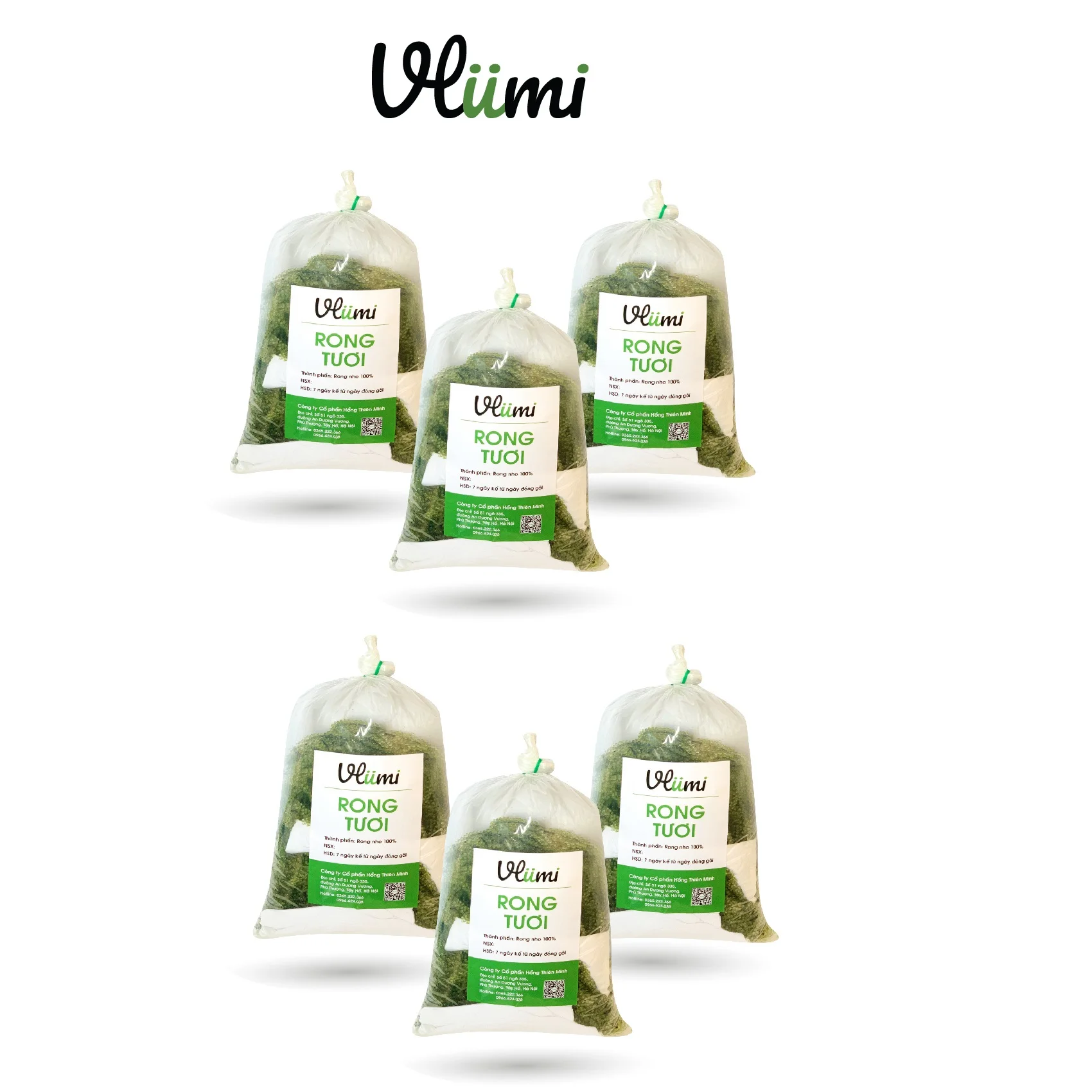 Healthy Japanese Seaweed Weight Loss Product VLUMI Fresh Sea Grapes