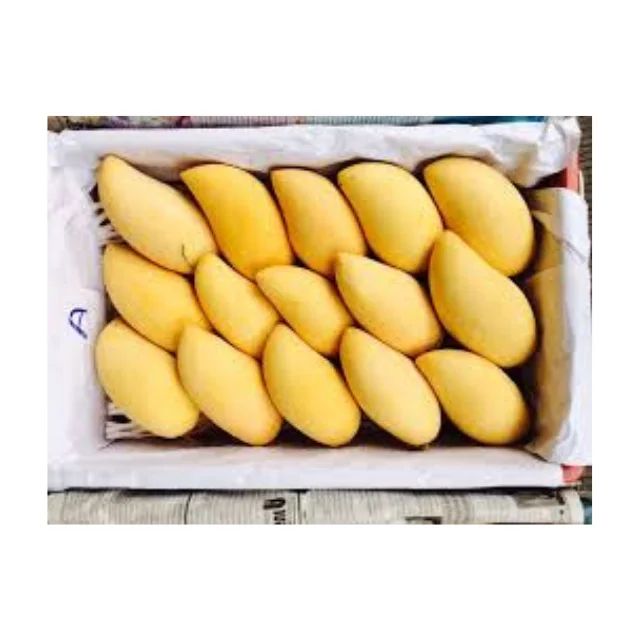 Свежие сладкие манго 100% высокого качества-таиландское происхождения премиум класса (Namdokmai сладкое прямо с фермы)