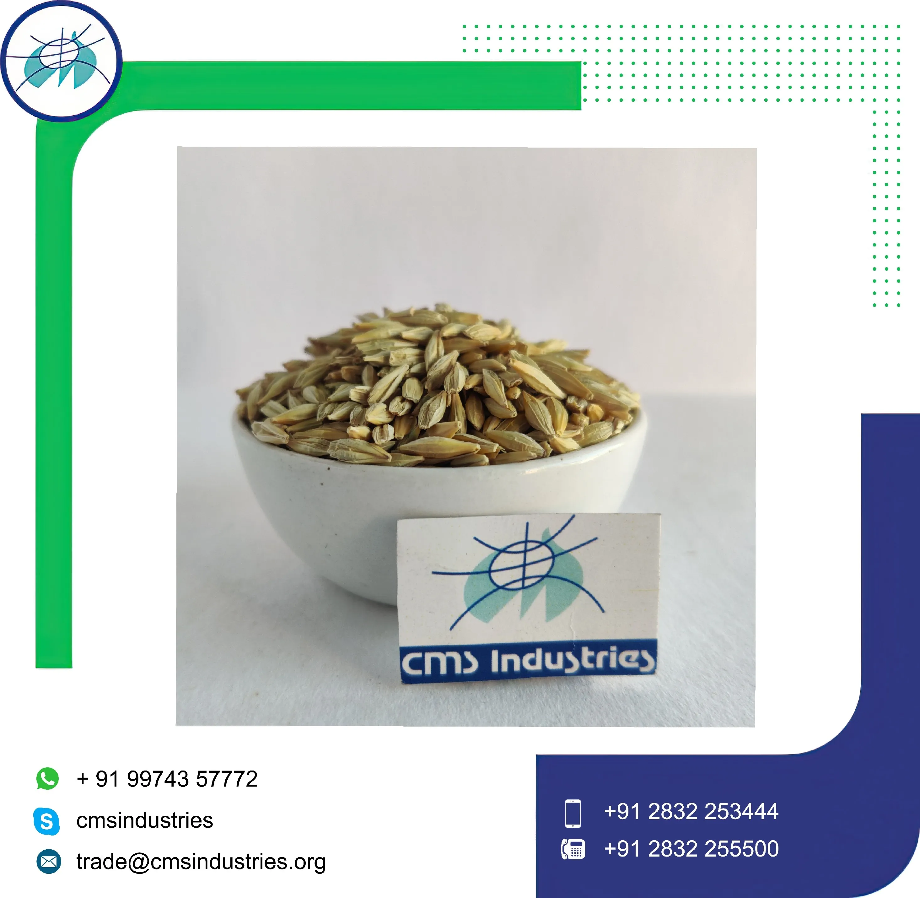 Indian Grown Pure Barley